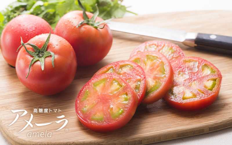 アメーラの写真