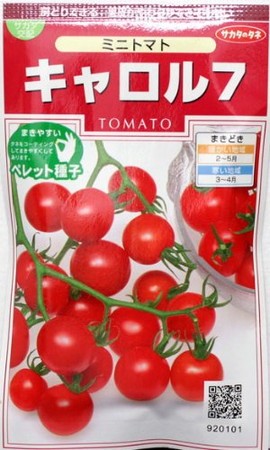 キャロル7の写真