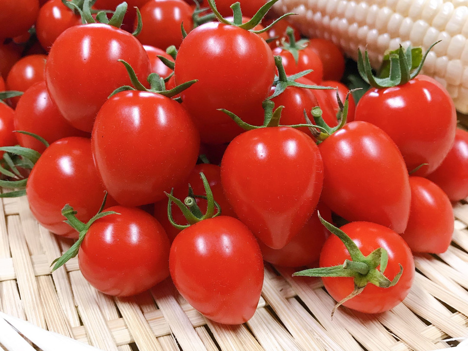 トマトベリーの写真